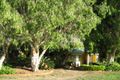 Property photo of 47 Fairway Drive Bargara QLD 4670