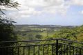 Property photo of 21 Juniper Court Mapleton QLD 4560