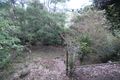 Property photo of 21 Juniper Court Mapleton QLD 4560