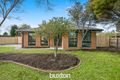 Property photo of 41 Jacqueline Drive Aspendale Gardens VIC 3195