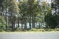 Property photo of 6 Depot Beach Road Depot Beach NSW 2536