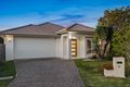 Property photo of 46 Lyrebird Crescent Upper Kedron QLD 4055