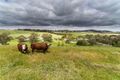 Property photo of 435 Old Princes Highway Nairne SA 5252
