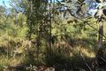 Property photo of 32 Campbells Road Cootharaba QLD 4565