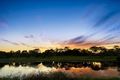 Property photo of 85 Augusta Circuit Peregian Springs QLD 4573