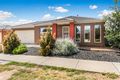 Property photo of 23 McMeeken Way Epsom VIC 3551
