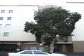 Property photo of 41/1 Wiley Street Chippendale NSW 2008