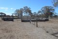 Property photo of 455 Alton Downs-Nine Mile Road Alton Downs QLD 4702