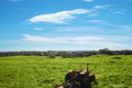 Property photo of 176 North Maleny Road North Maleny QLD 4552