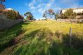 Property photo of 33 Pepperdine Way Highton VIC 3216