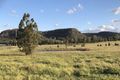 Property photo of 1052 Cullingral Road Merriwa NSW 2329