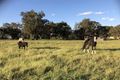 Property photo of 1052 Cullingral Road Merriwa NSW 2329
