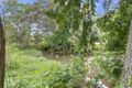 Property photo of 26 Baloo Crescent Nerang QLD 4211