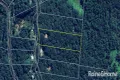 Property photo of 103 Ronald Road Forest Creek QLD 4873