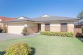 Property photo of 31 Knight Street New Lambton NSW 2305