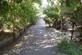 Property photo of 3/33 Thorburn Street Nimbin NSW 2480