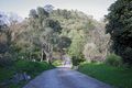 Property photo of 100 Waterfall Gully Road Waterfall Gully SA 5066