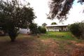 Property photo of 7 Wingate Street Greenacres SA 5086