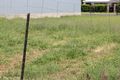 Property photo of 16 Chester Street Moree NSW 2400