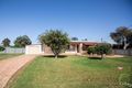 Property photo of 31 Federation Street Gilgandra NSW 2827