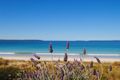 Property photo of 147 Quay Road Callala Beach NSW 2540