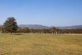 Property photo of 41 Old Bendeela Road Kangaroo Valley NSW 2577