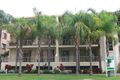 Property photo of 10/8-10 Peak Avenue Main Beach QLD 4217