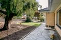 Property photo of 33 Gunther Parade Pasadena SA 5042