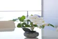 Property photo of 504/75 Landsborough Parade Golden Beach QLD 4551