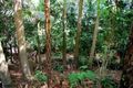 Property photo of 13-15 Wasatch Court Tamborine Mountain QLD 4272