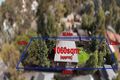 Property photo of 513 Main Road Eltham VIC 3095