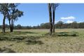 Property photo of 812 Sandy Creek Road Quorrobolong NSW 2325