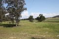 Property photo of 399 The Gullies Road Glen Davis NSW 2846