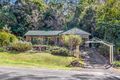 Property photo of 11 Ohia Court Tamborine Mountain QLD 4272