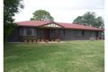 Property photo of 61 Boland Drive Moree NSW 2400
