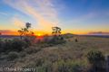 Property photo of 11 Beckey Road Plainland QLD 4341