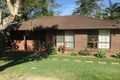 Property photo of 14 Cabernet Crescent Thornlands QLD 4164