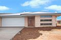 Property photo of 33 John Holt Street Macgregor ACT 2615
