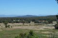 Property photo of 1352 Sutton Road Sutton NSW 2620