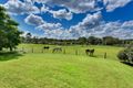 Property photo of 211 Barnes Road Kulnura NSW 2250