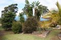 Property photo of 10 The Pannicle Manyana NSW 2539
