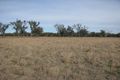 Property photo of 3173B Wambianna Road Warren NSW 2824