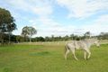 Property photo of 2 Hamilton Close Tolga QLD 4882
