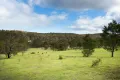 Property photo of 130 Cypress Drive Elphinstone VIC 3448