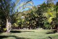 Property photo of 138 Yandina-Coolum Road Coolum Beach QLD 4573