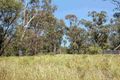 Property photo of 29 Delaware Drive Macquarie Hills NSW 2285