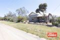 Property photo of 53 Angaston-Swan Reach Road Sedan SA 5353