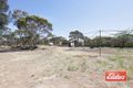 Property photo of 53 Angaston-Swan Reach Road Sedan SA 5353