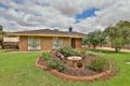 Property photo of 3 Johnson Drive Irymple VIC 3498