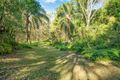 Property photo of 31 Bridgman Drive Reedy Creek QLD 4227